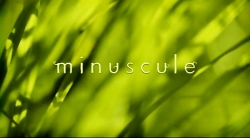 خیلی خیلی کوچک (2) (راننده عنکبوتی)